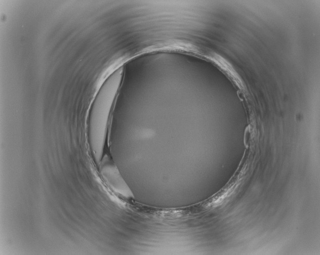 X0000061750858200512302236