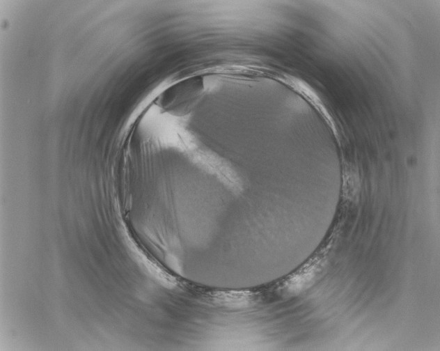 X0000061750859200512302236