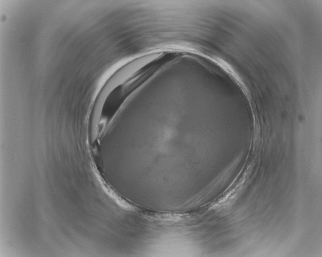 X0000061750862200512302236