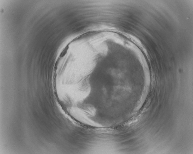 X0000061750863200512302236