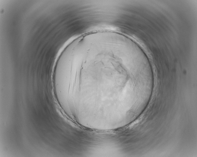 X0000061750864200512302236