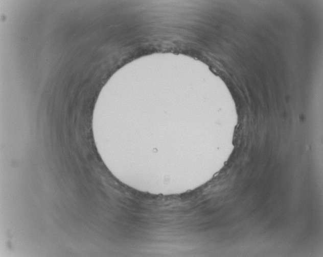 X0000061750865200512302235