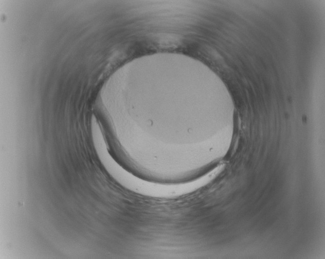 X0000061750866200512302235