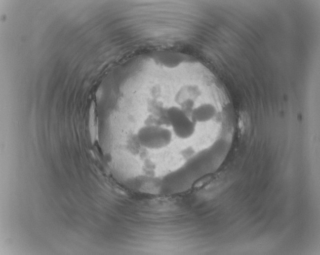 X0000061750867200512302235