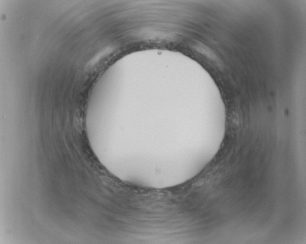 X0000061750869200512302235