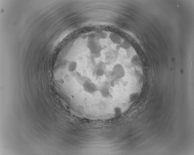 X0000061750871200512302235