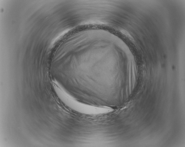 X0000061750872200512302235