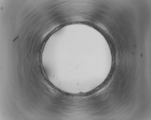 X0000061750873200512302235