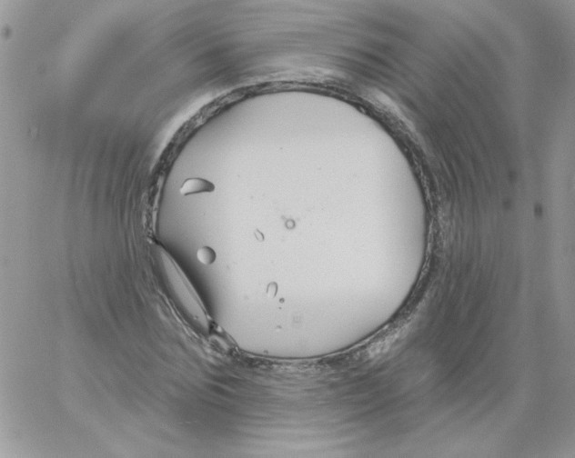 X0000061750875200512302235