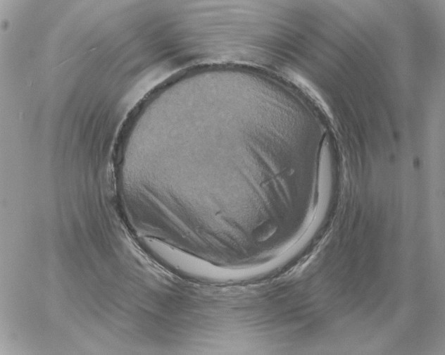 X0000061750876200512302235