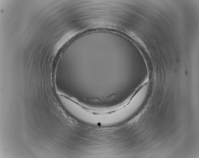 X0000061750877200512302235