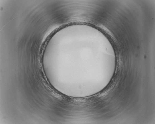 X0000061750878200512302235