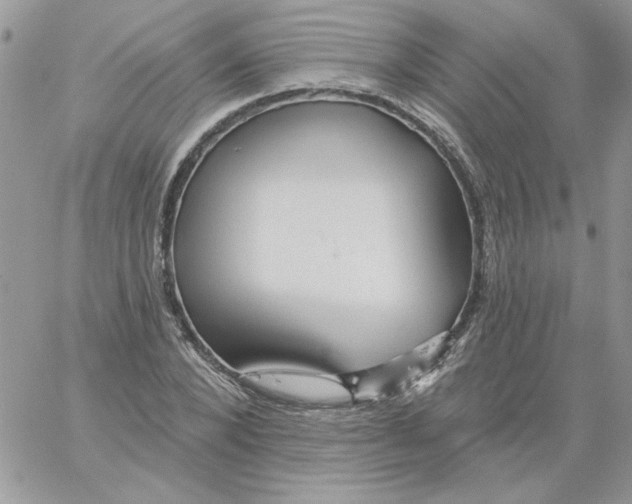 X0000061750880200512302235