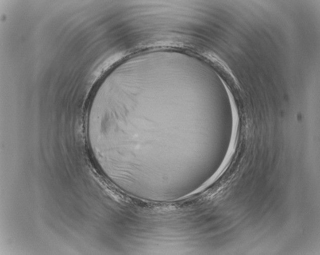 X0000061750882200512302235