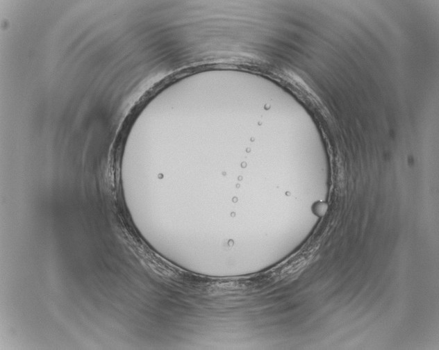 X0000061750883200512302235