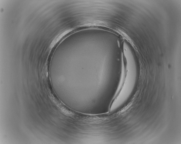 X0000061750885200512302235