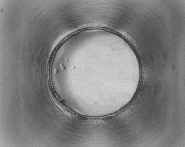 X0000061750886200512302235