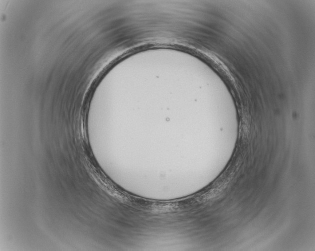 X0000061750887200512302235