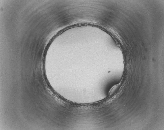 X0000061750888200512302235