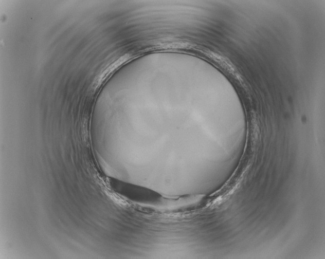 X0000061750889200512302235