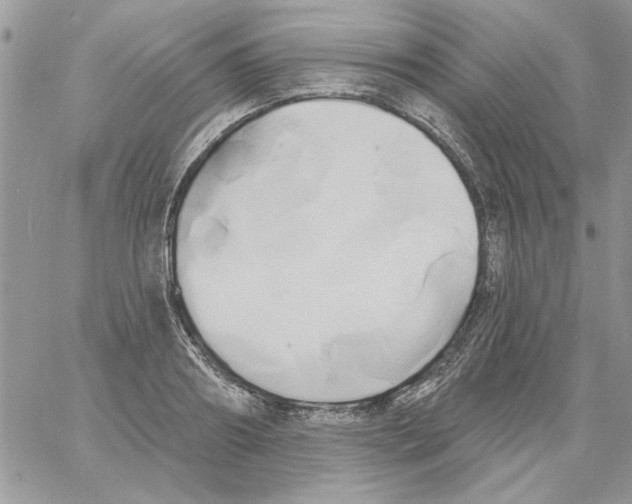 X0000061750890200512302235