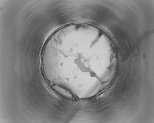 X0000061750891200512302235