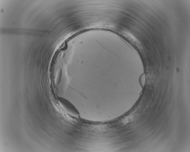 X0000061750892200512302235