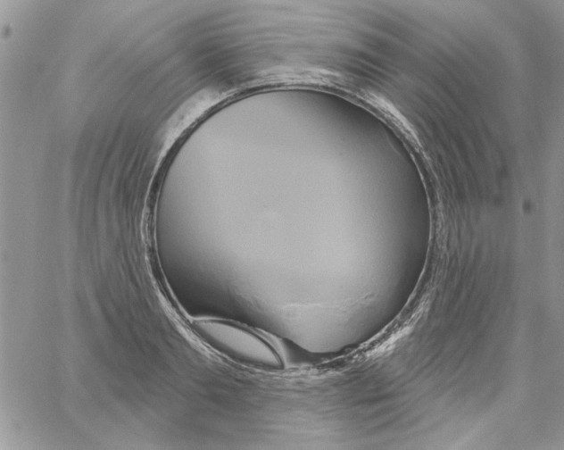 X0000061750893200512302234