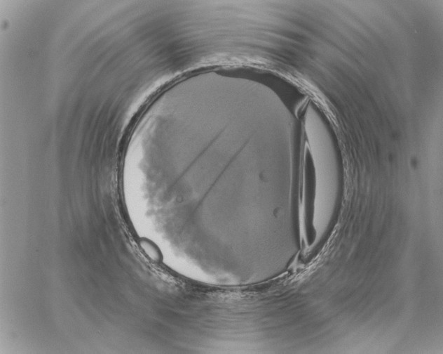 X0000061750896200512302234