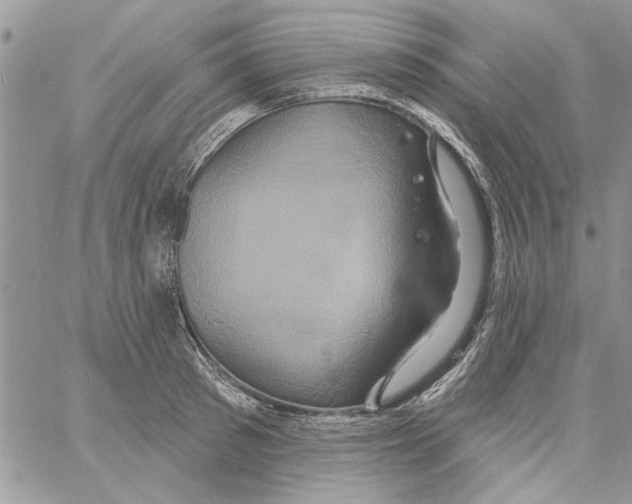 X0000061750897200512302234