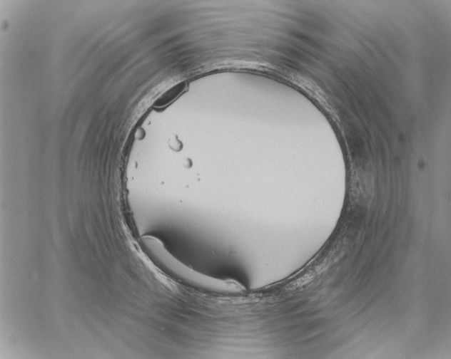 X0000061750898200512302234