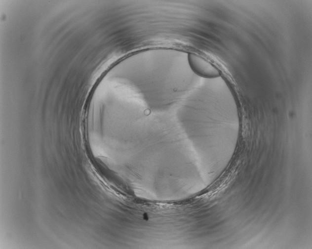 X0000061750899200512302234