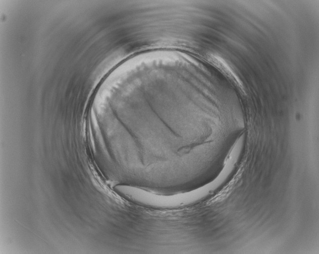 X0000061750900200512302234