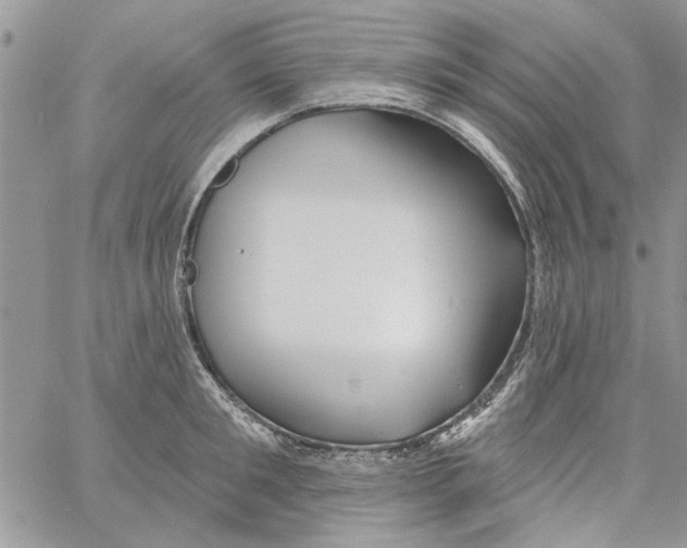 X0000061750901200512302234