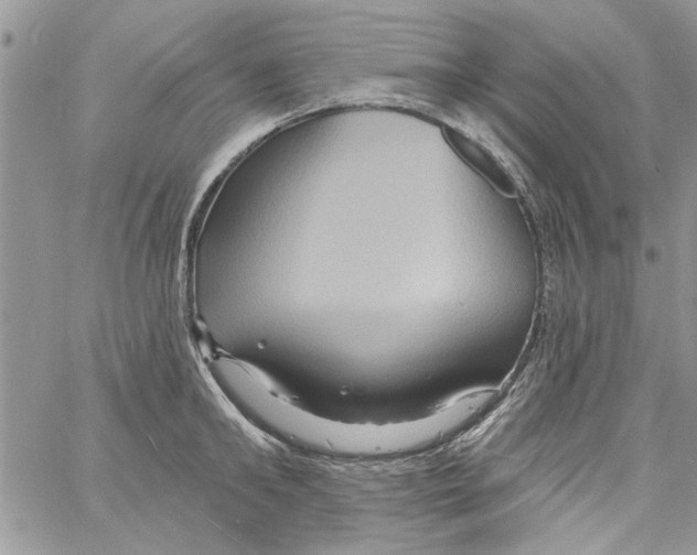 X0000061750902200512302234