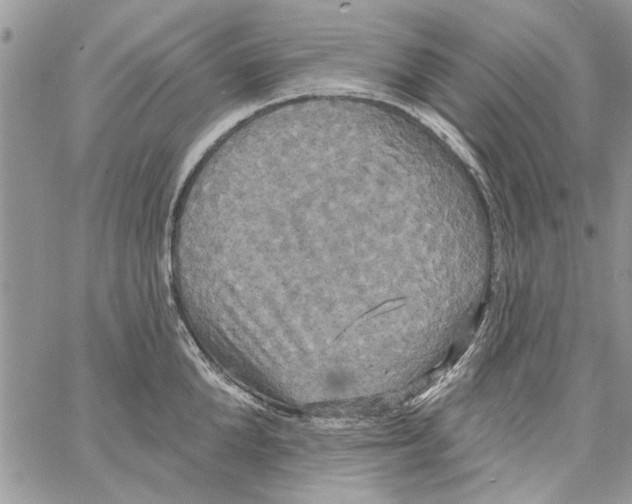 X0000061750904200512302234