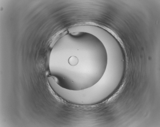 X0000061750905200512302234