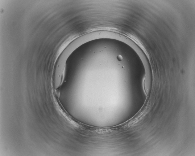 X0000061750906200512302234