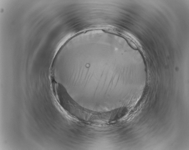 X0000061750907200512302234