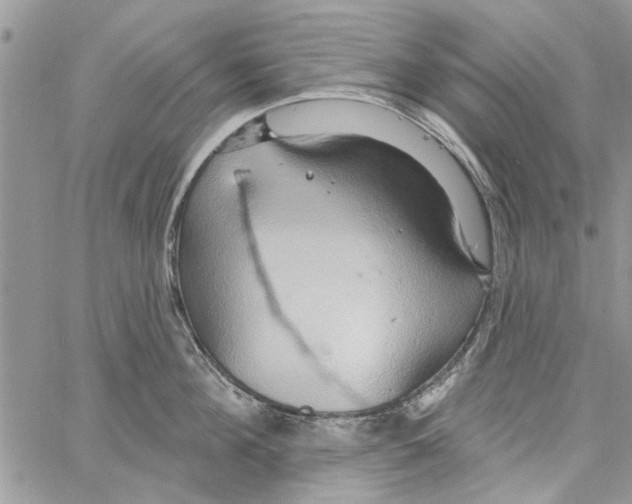 X0000061750908200512302234