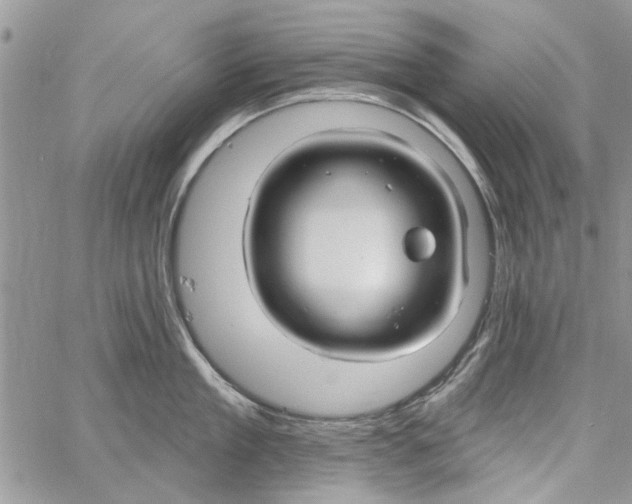 X0000061750909200512302234