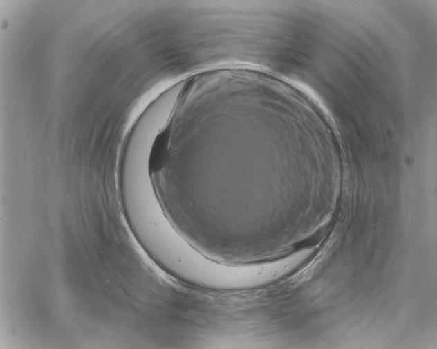 X0000061750910200512302234