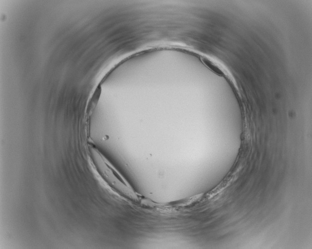 X0000061750911200512302234