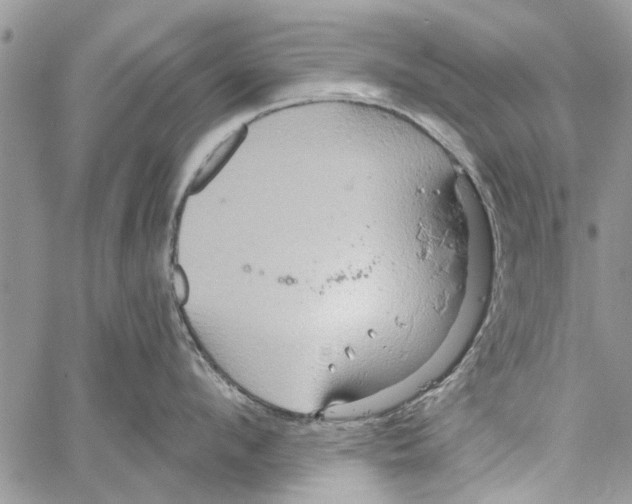 X0000061750912200512302234