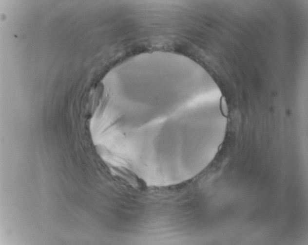 X0000061750913200512302233