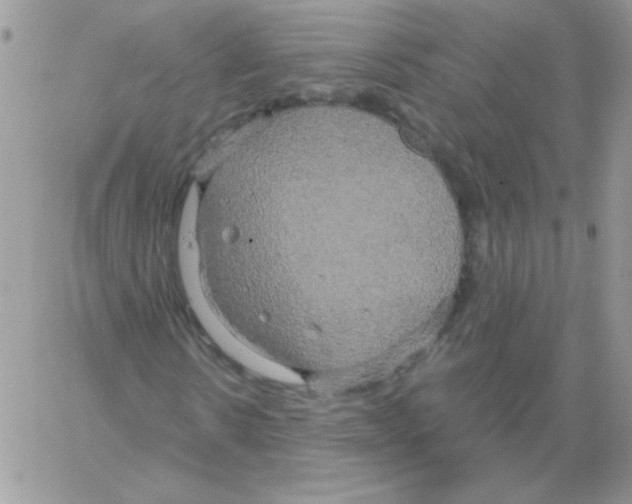 X0000061750914200512302233