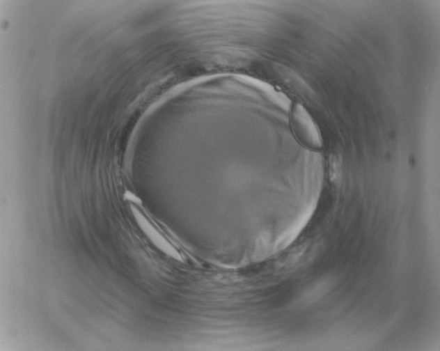 X0000061750915200512302233