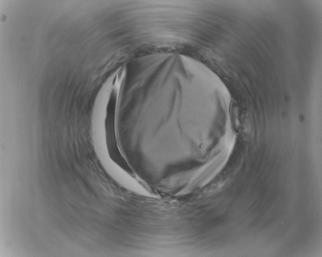 X0000061750916200512302233