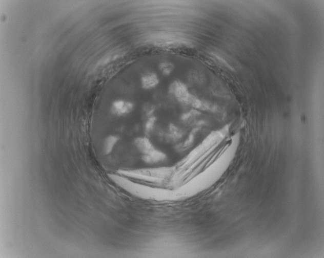 X0000061750917200512302233