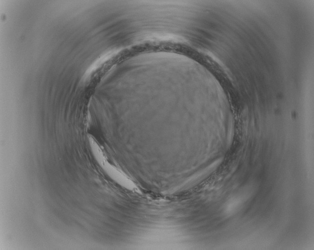 X0000061750919200512302233